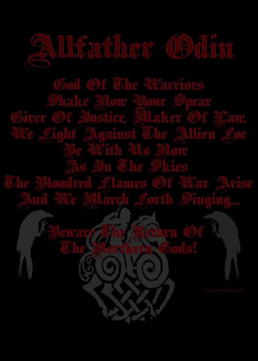 Longsleeve-Shirt: Beware the return of... Odin