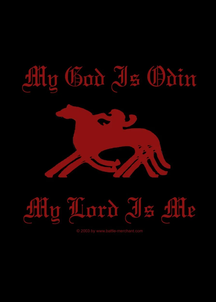 Longsleeve-Shirt: My God is Odin