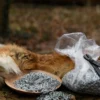 Lose Kettenringe, 3 kg-Paket, unvernietet, verzinkt, 9mm ID