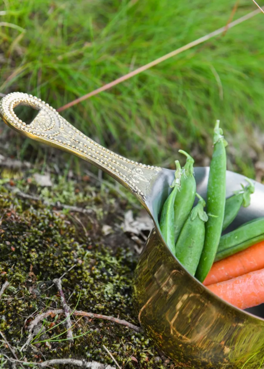 Patera, römische Lagerpfanne, verzinntes Messing