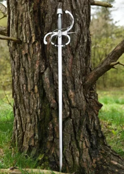 Renaissance Rapier mit geschwungenem Parier mit Lederscheide