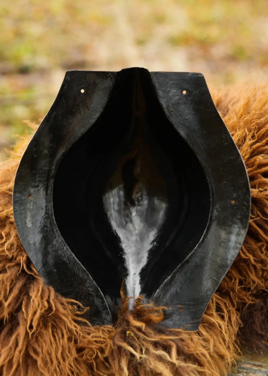 Republikanischer Schildbuckel, Stahl