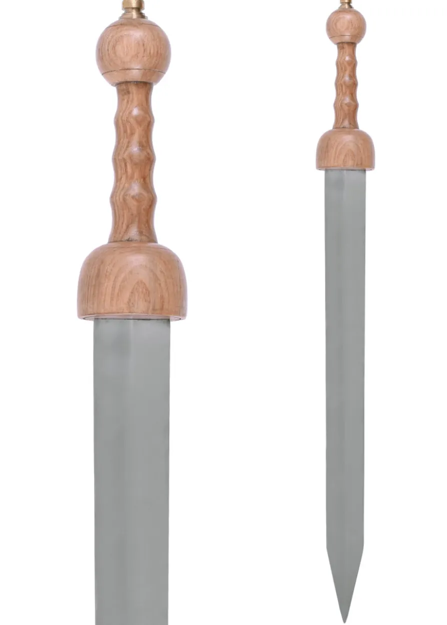 Römischer Gladius Typ Pompeji mit Scheide, 1. Jh.