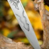 Schottischer Dirk mit Holzscheide