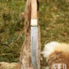 Skramasax, Sax aus Damaststahl mit Holz-/Knochengriff