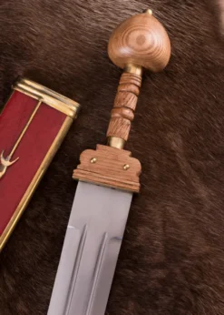 Spatha, Spätrömisches Schwert mit Scheide