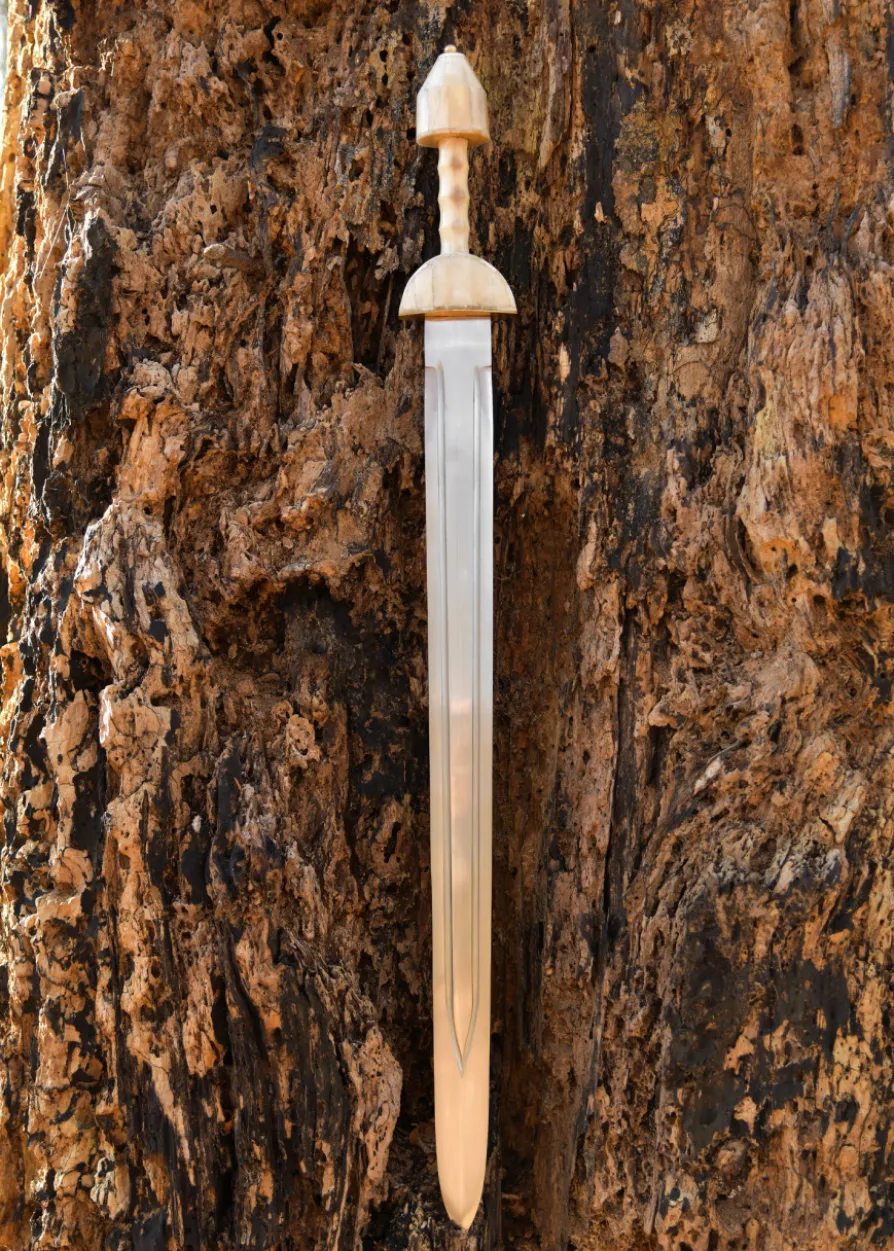 Spätrömische Spatha mit Scheide