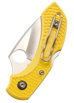Spyderco Dragonfly 2 Salt Serrated, Taschenmesser