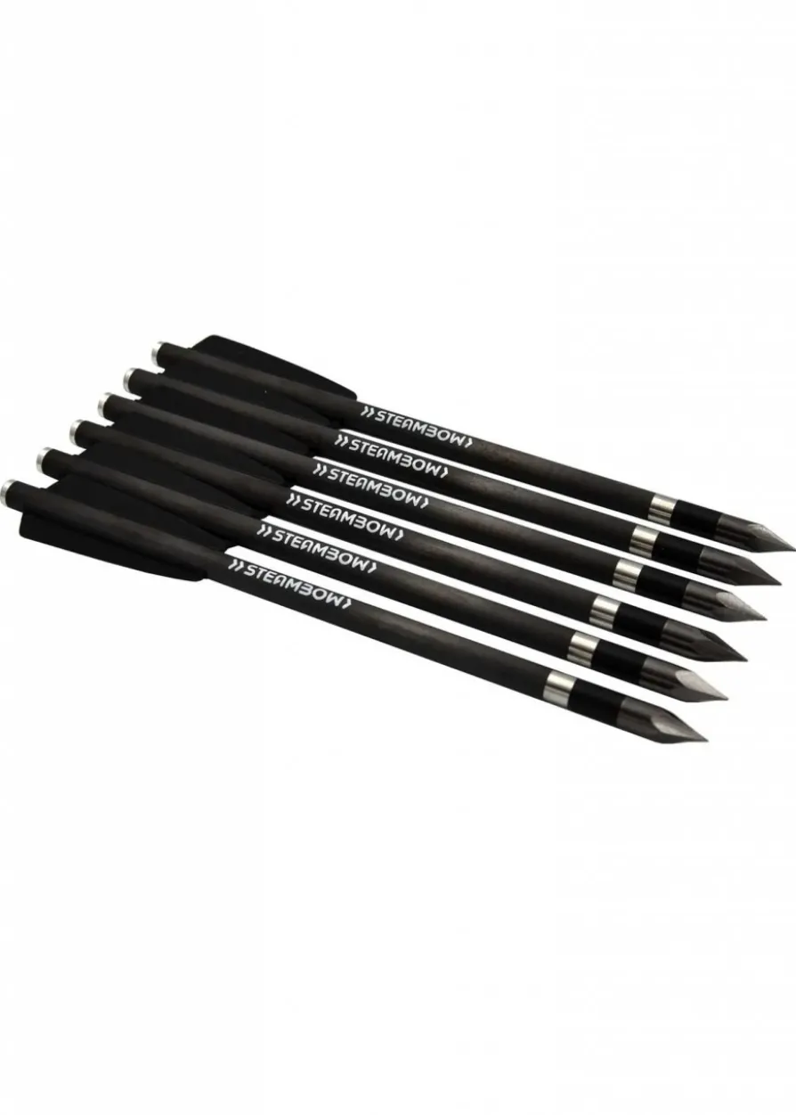 Steambow AR-Series – SCHWERE CARBON BODKINPFEILE – Set aus 6 Stk.